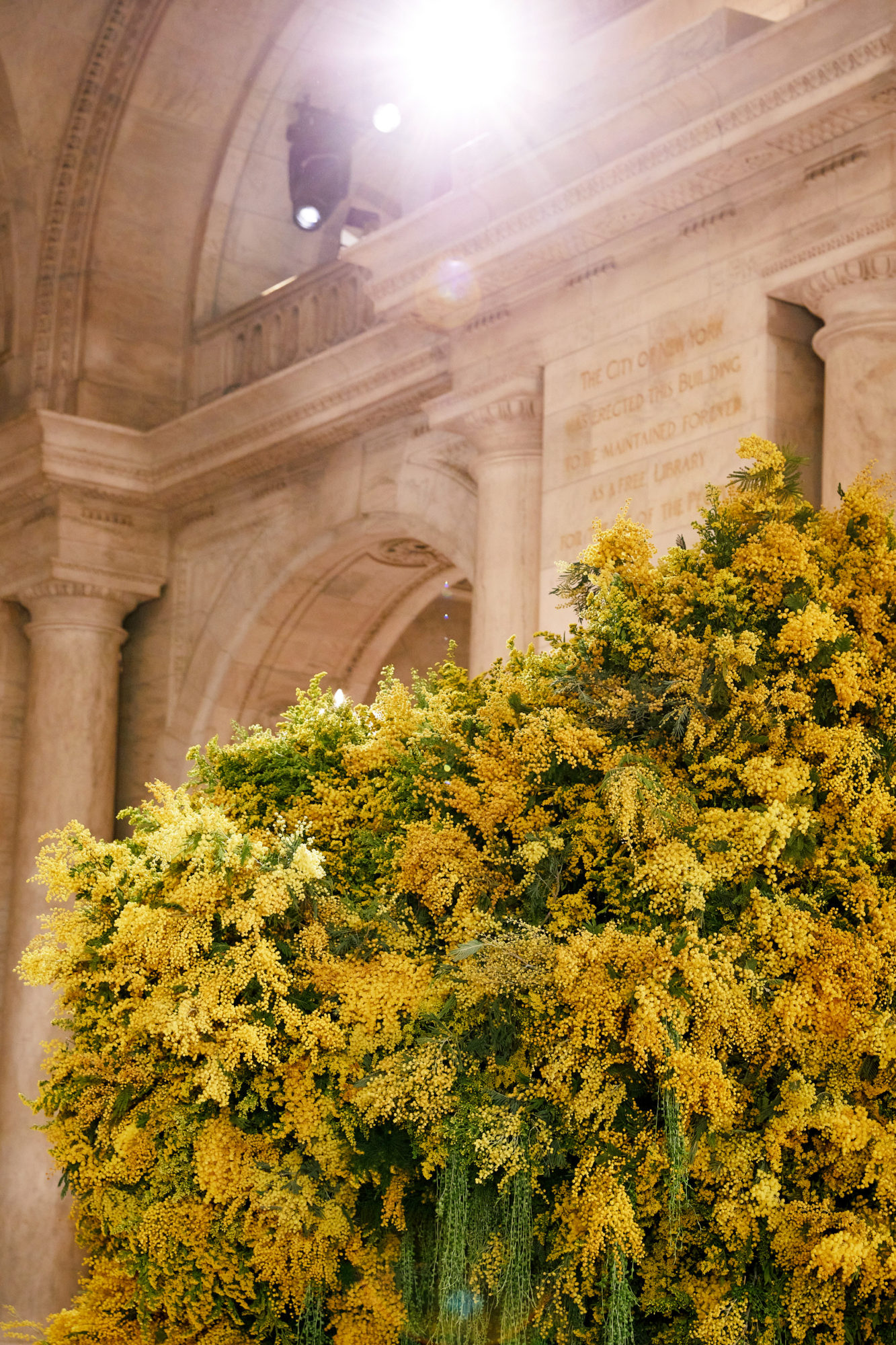 ULLA JOHNSON RUNWAY - FW 22 - Emily Thompson Flowers